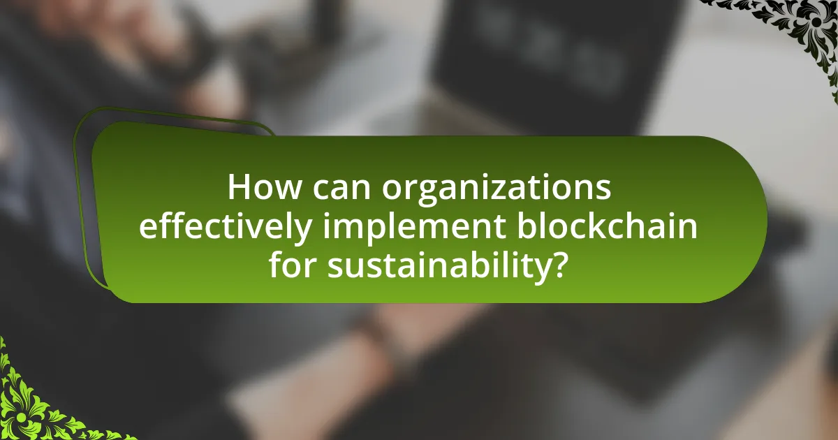How can organizations effectively implement blockchain for sustainability?