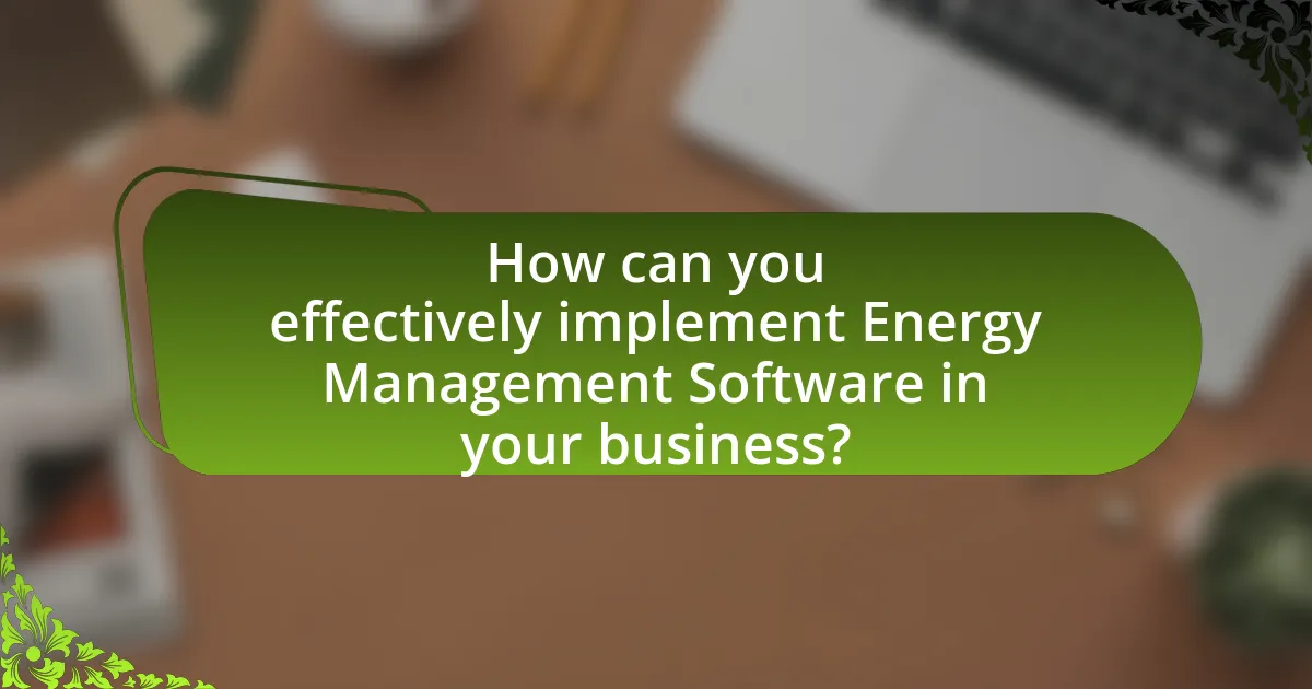How can you effectively implement Energy Management Software in your business?