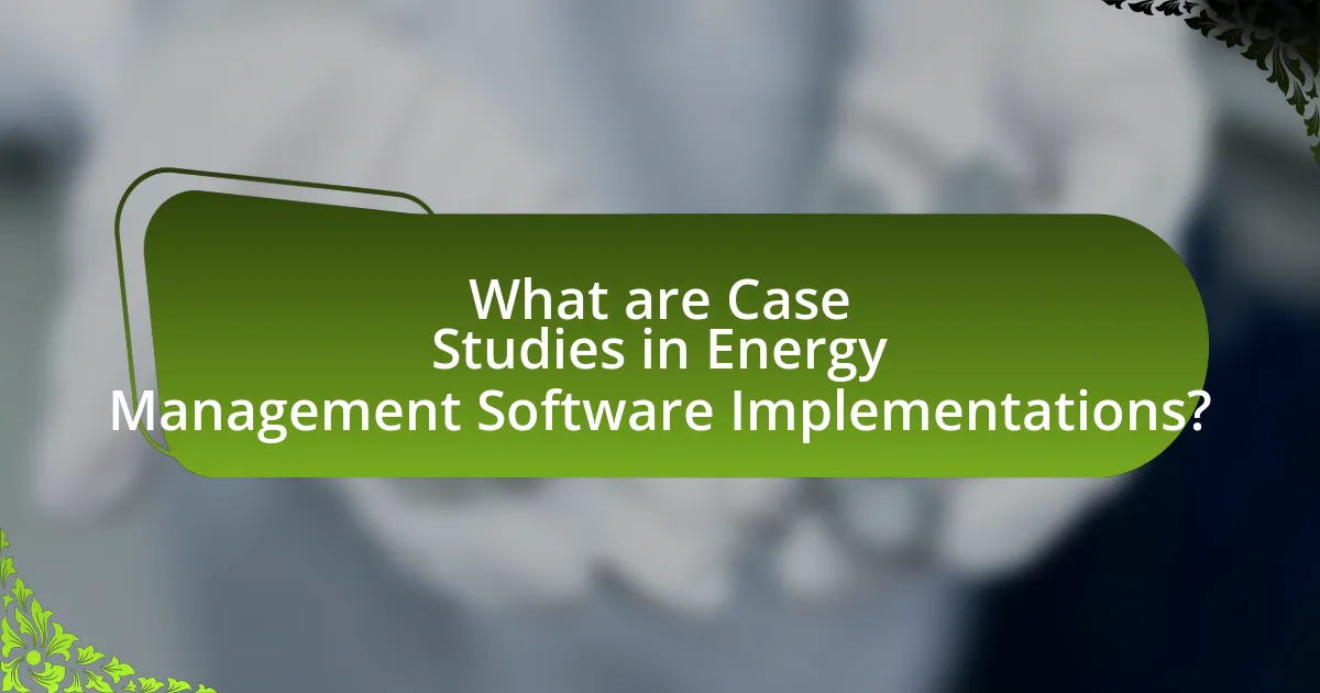 What are Case Studies in Energy Management Software Implementations?
