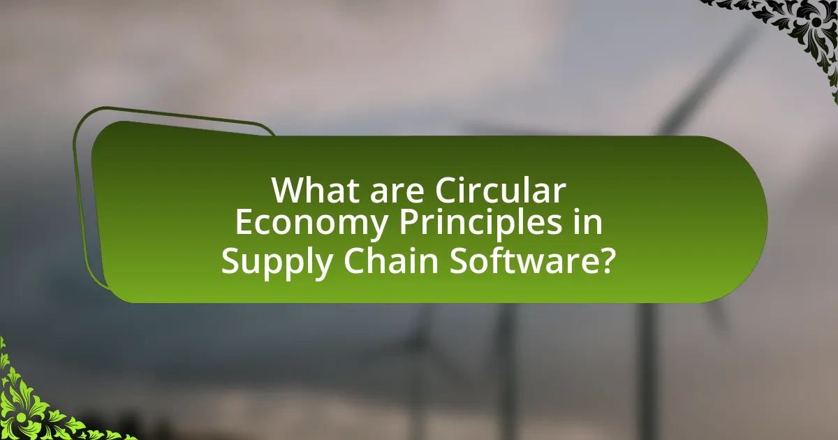 What are Circular Economy Principles in Supply Chain Software?