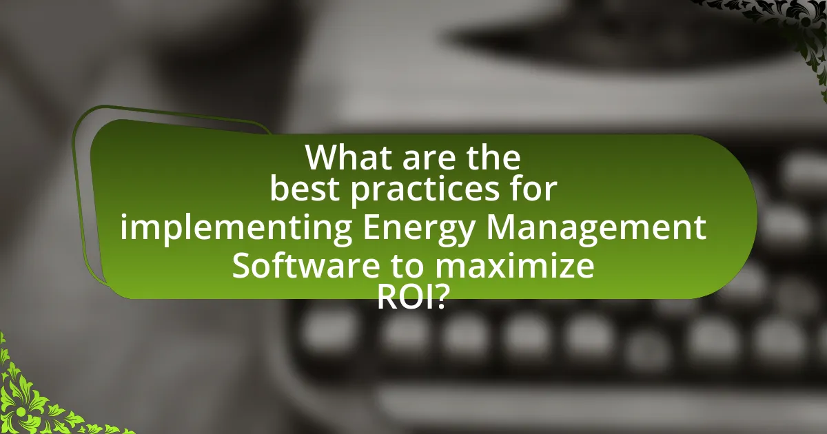 What are the best practices for implementing Energy Management Software to maximize ROI?