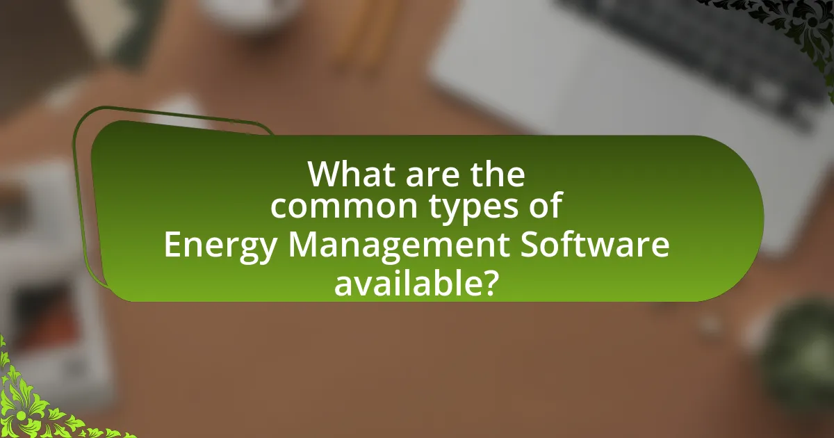What are the common types of Energy Management Software available?