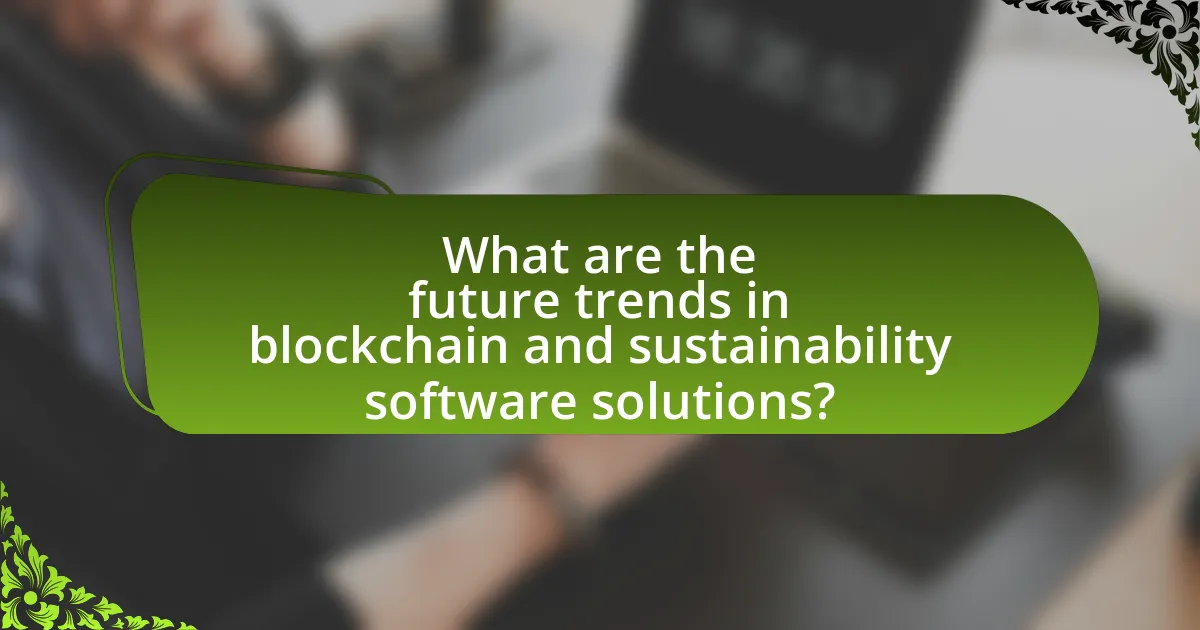 What are the future trends in blockchain and sustainability software solutions?