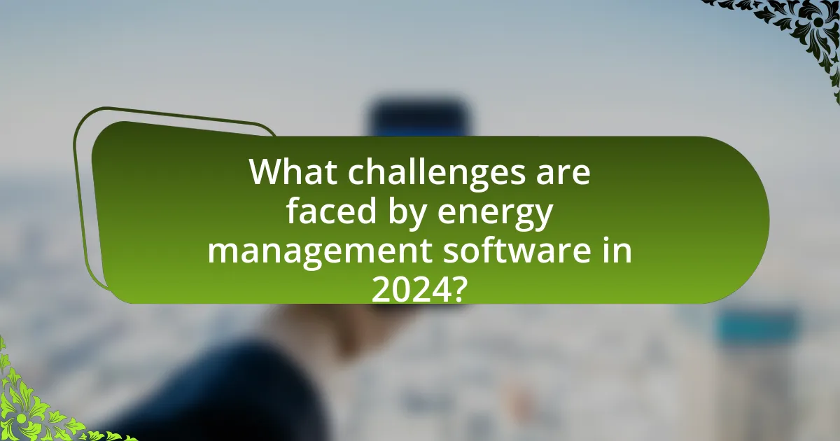 What challenges are faced by energy management software in 2024?