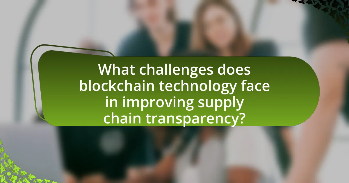 What challenges does blockchain technology face in improving supply chain transparency?