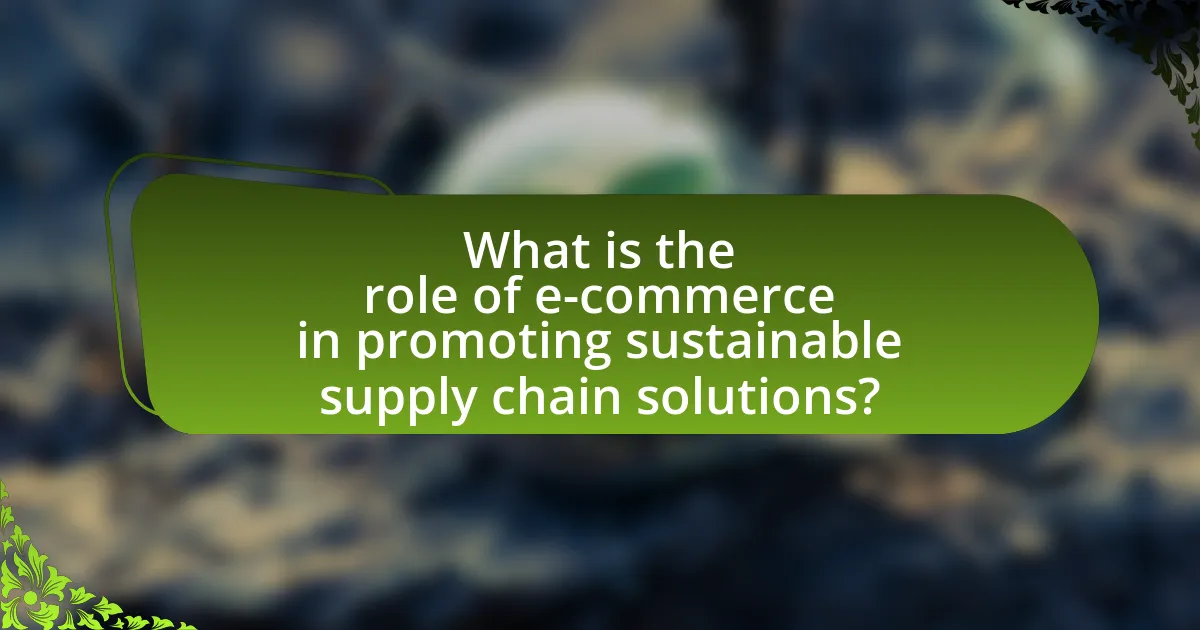 What is the role of e-commerce in promoting sustainable supply chain solutions?